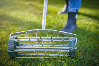 Which is the Best Wood for Raised Garden Beds?