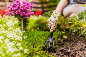 When is the Best Time to Aerate Lawn In Ohio? Let’s Dig In and Find Out!